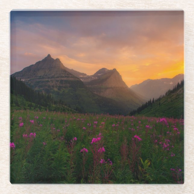 Glacier Wildflowers Glass Coaster (Front)