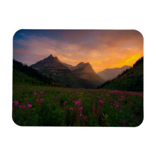 Glacier Wildflowers Magnet