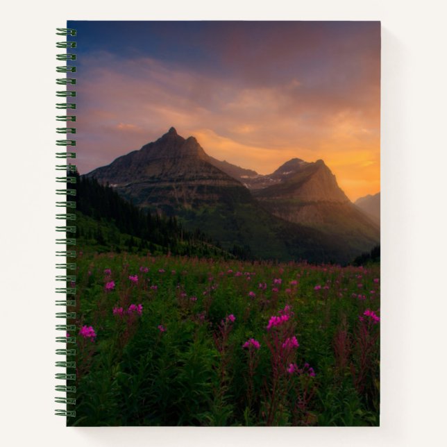 Glacier Wildflowers Notebook (Front)