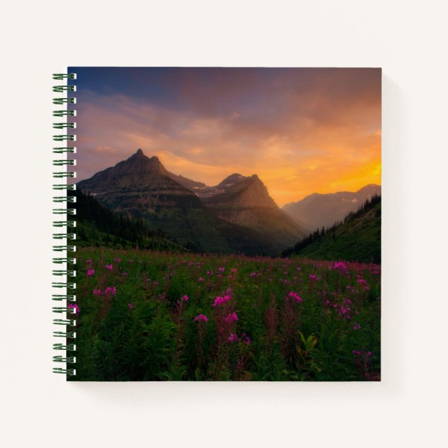 Glacier Wildflowers Notebook (Front)
