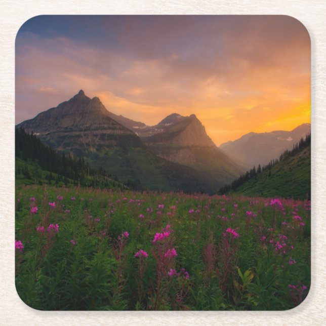 Glacier Wildflowers Square Paper Coaster (Front)