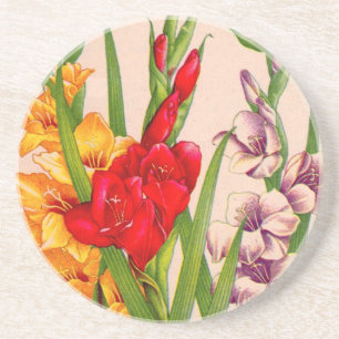 gladiola flowers gladioli flowers coaster