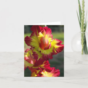 Gladiola Note Card