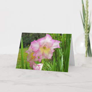 Gladiola thinking of you card
