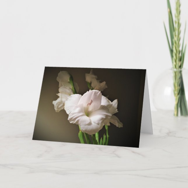 Gladioli, card (Front)