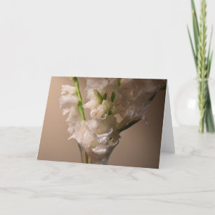 Gladioli, card