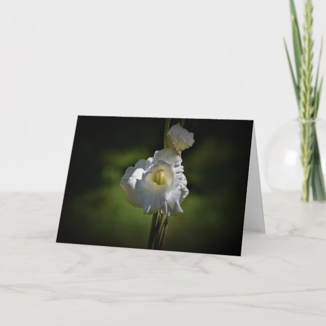 Gladioli, card (Front)