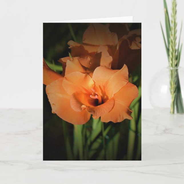 Gladioli, card (Front)