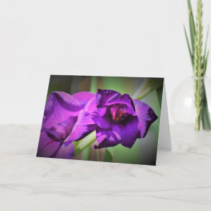 Gladioli, card