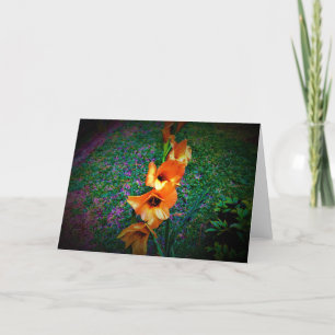 Gladioli, card