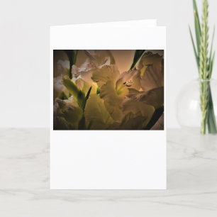 Gladioli, card