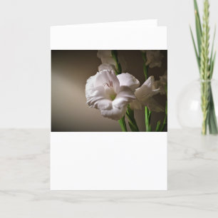 Gladioli, card