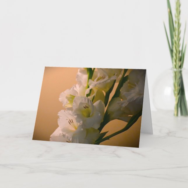 Gladioli, card (Front)