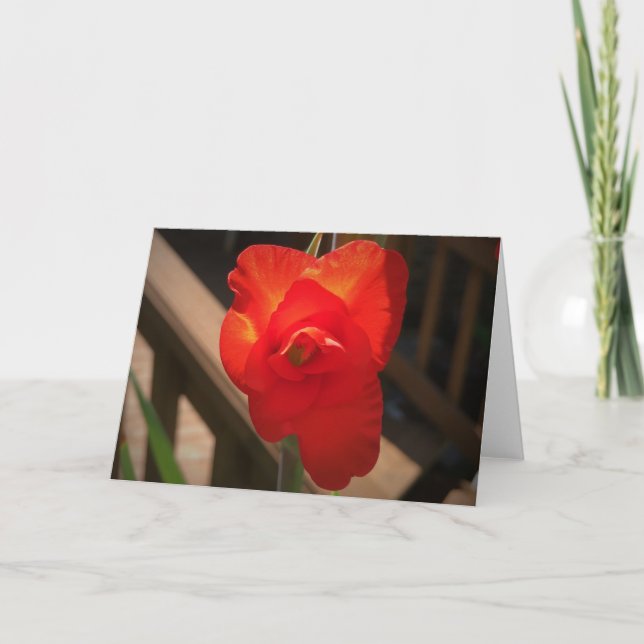 Gladioli, card (Front)