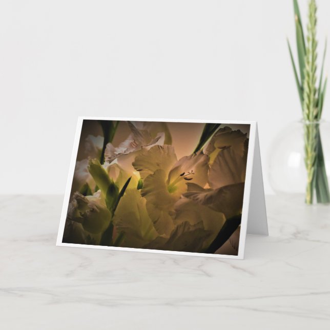 Gladioli, card (Front)
