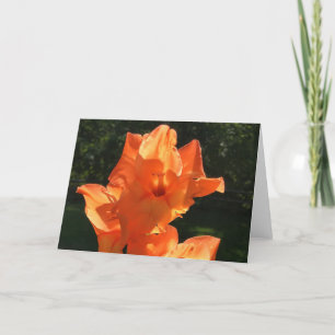 Gladioli, card