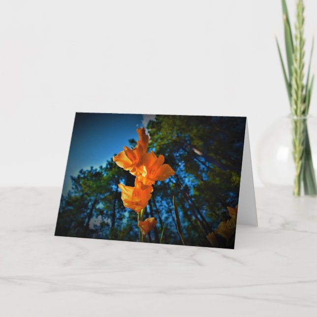 Gladioli, card (Front)