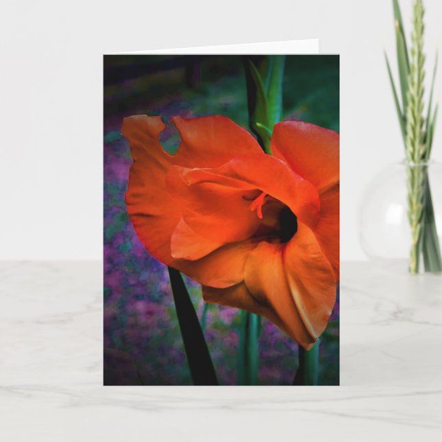Gladioli, card (Front)