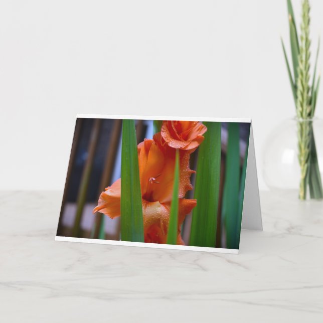 Gladioli, card (Front)