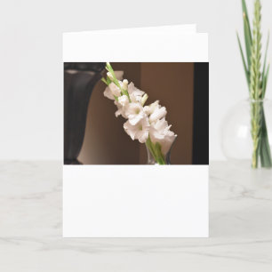 Gladioli, carte