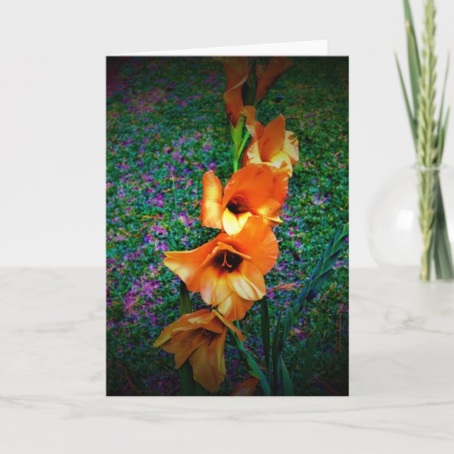 Gladioli, carte (Devant)