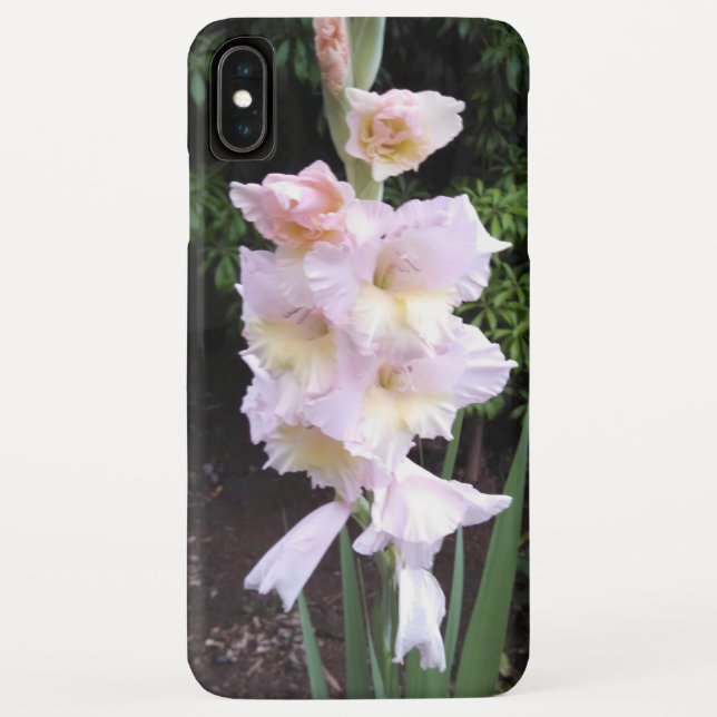 Gladiolus coque iphone (Dos)