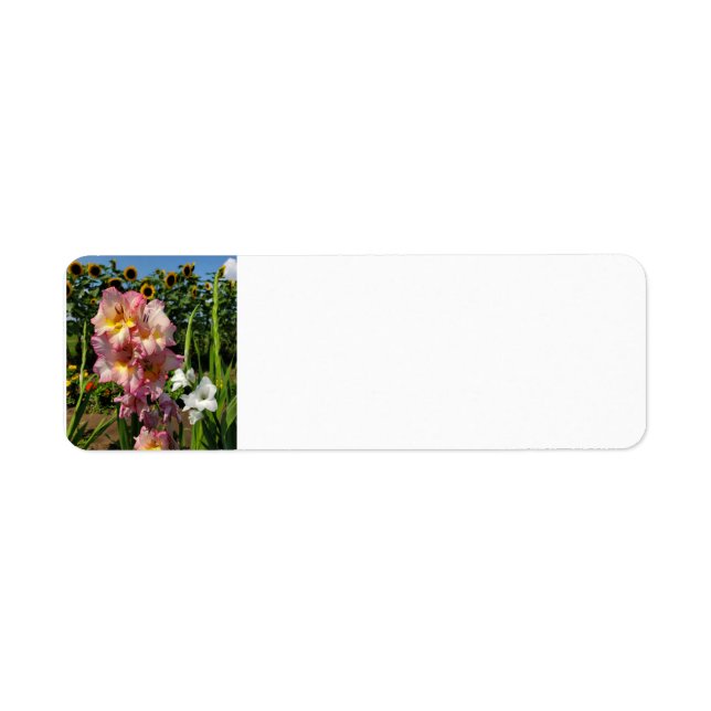 Gladiolus et tournesol (Devant)