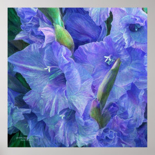 Gladiolus Moods - Poster d'art Lavender/Imprimer