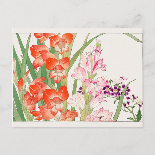 Gladiolus, Schizanthus by Tanigami Konan Postcard (Front)