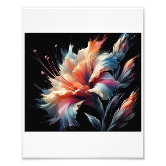 Gladius Flower Blossoms Against Black,  Photo Print