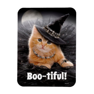 Glamorous Witch Kitten Magnet
