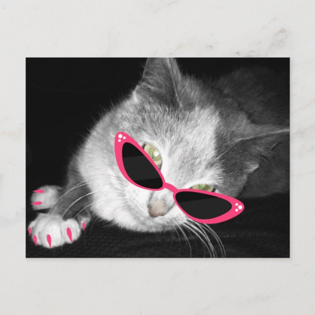 Glamour Cat Birthday Party Postcard Invite (Front)