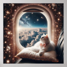 Glamour fashion luxury lifestyle photo