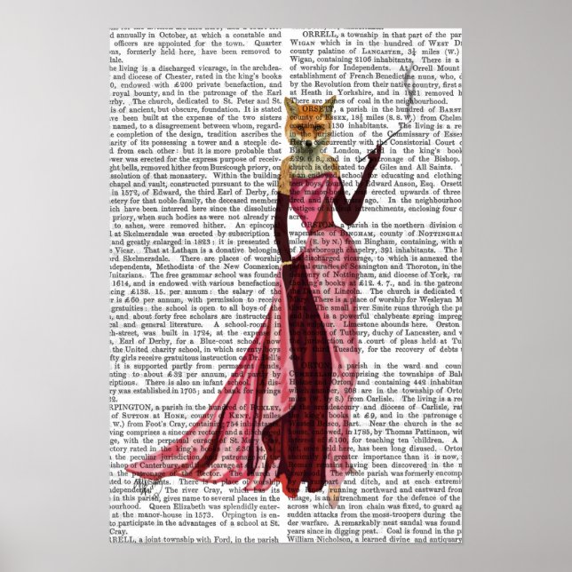 Glamour Fox in Pink Poster (Front)