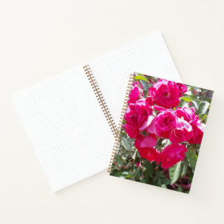 Glamourous Roses Bullet Notebook