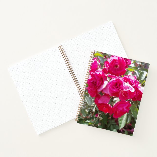 Glamourous Roses Bullet Notebook (Inside)