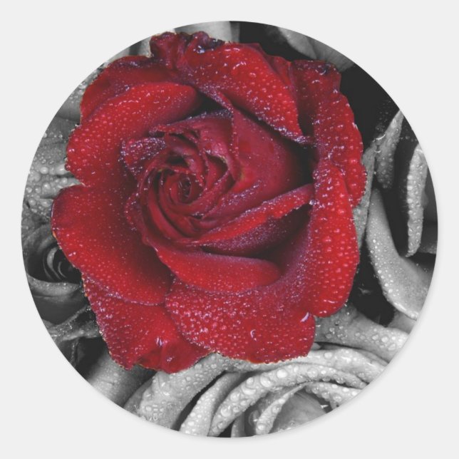 Glamourous roses classic round sticker (Front)