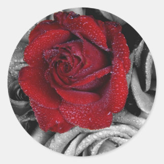 Glamourous roses classic round sticker