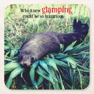 Glamping sea lion square paper coaster