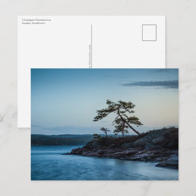 Glaskogen Sweden Postcard (Front/Back)