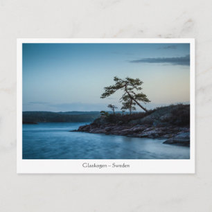 Glaskogen Sweden Postcard