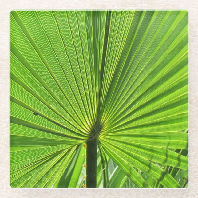 Glass Coaster - Palm Leaf (Front)