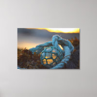 Glass fishing float, Sunset, Alaska