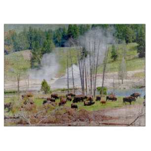 Glass Kitchen Cutting Board - Yellowstone Bison