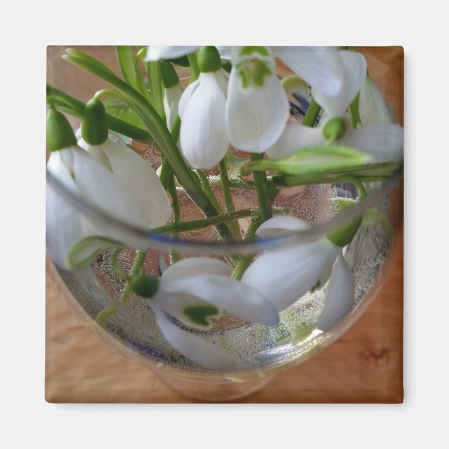 glass of snowdrops magnet (Front)