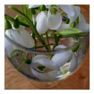 glass of snowdrops poster