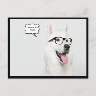 Glasses Are Cool Dog Postcard