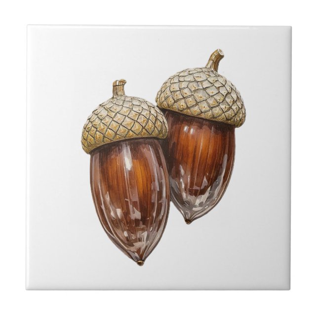 Glassy Acorns  Tile (Front)