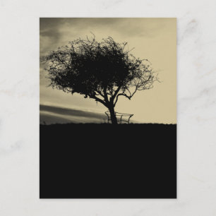 Glastonbury Hawthorn. Tree on Hill. Sepia Colour. Postcard