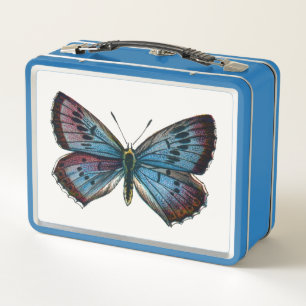 Glaucopsyche arion - The Large Blue Butterfly Metal Lunch Box